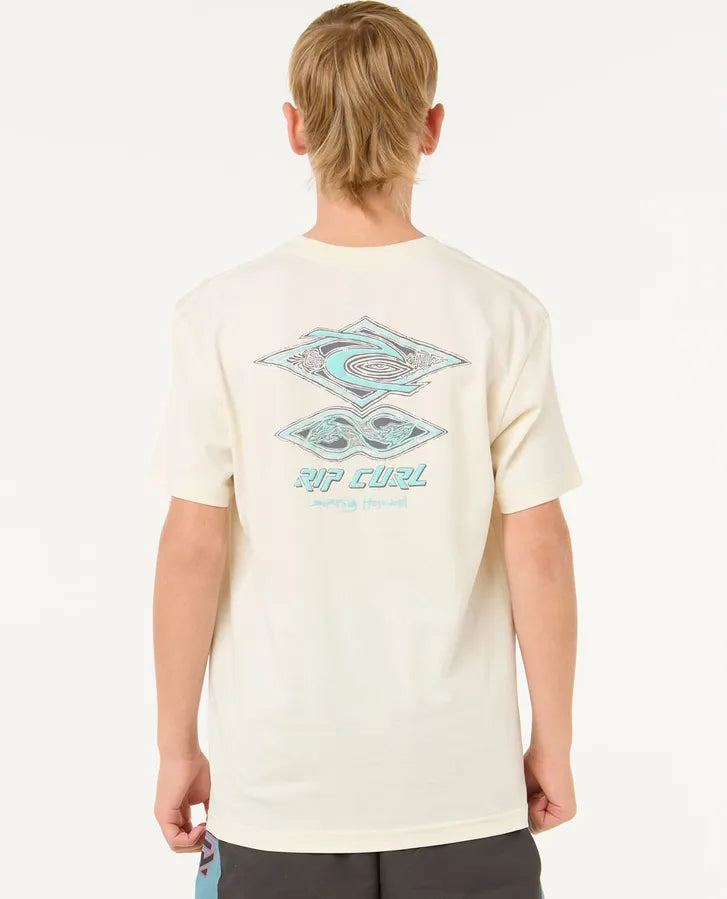 Raw Energy Dolphin Tee - Boys (8-16 years)-Willocks Surf