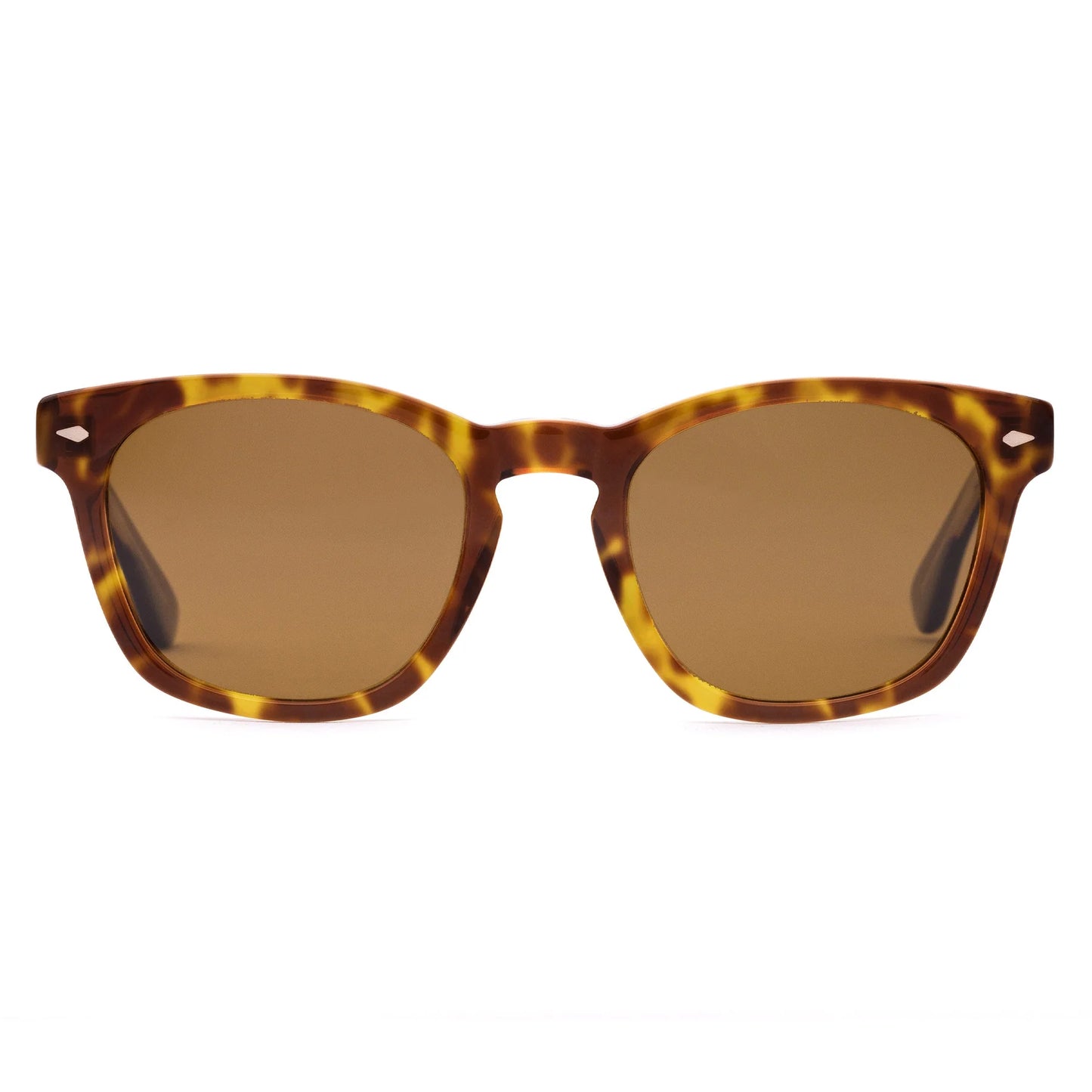 SUMMER OF 67 X - Eco Havana Zinnia / Brown
