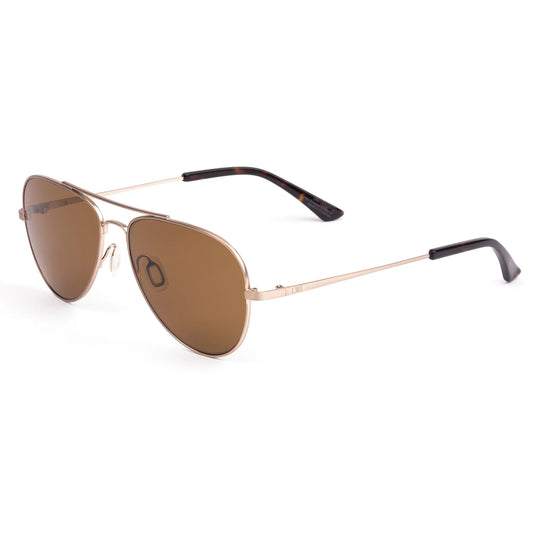 Drift: Brushed Gold/Eco Havana/Brown-Willocks Surf