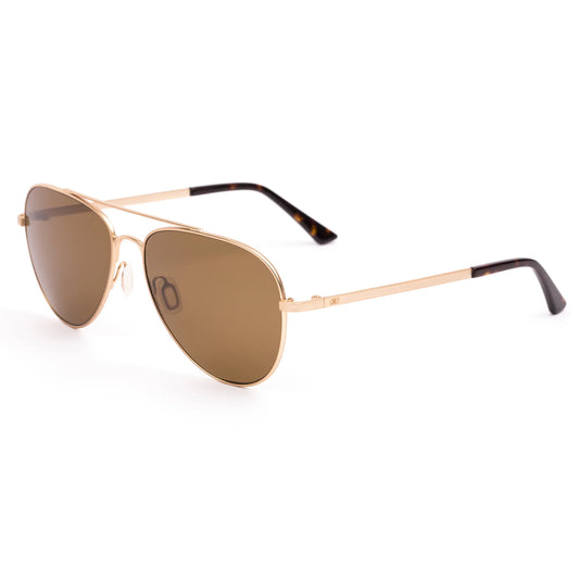 ZEPPELIN - Brushed Gold / Eco Dark Tort / Brown Polar-Willocks Surf