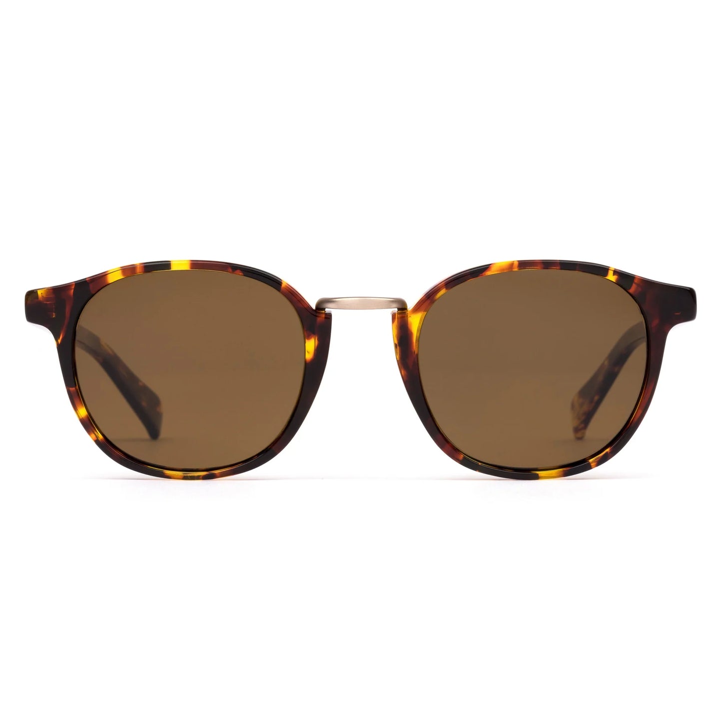 A DAY LATE - Eco Havana Sun / Brown Polar