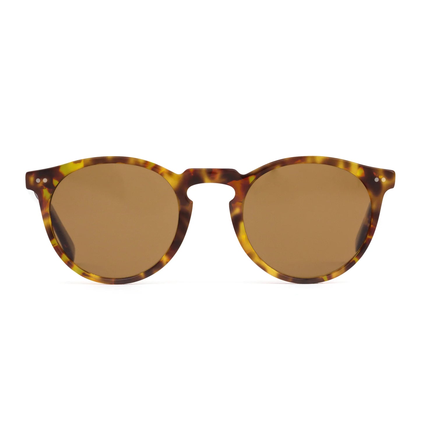Omar : Eco Havana Zinnia / LIT Polar Brown